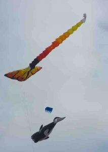 Alec-Brown-Kites-1