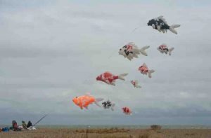 Alec-Brown-Kites-3