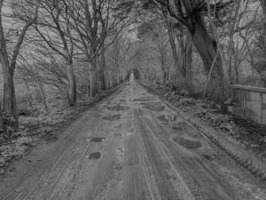 John-P-Winter-Walk-Sizewell-1