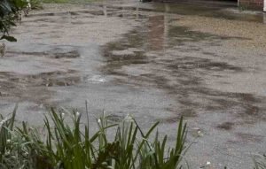 Nuala-Rain-APG-Feb-8949