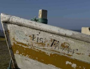 Nuala-Simpson-3-Sizewell-June-2025-7881