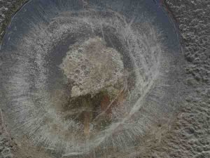 Robin-Cooper-Best-of-25-A-‘Ice-in-Bird-Bath