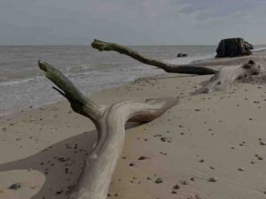 Robin-Cooper-SL2-COVEHITHE-‘Pointing-East