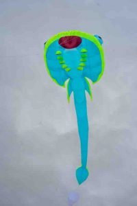 Stuart-Turner-Kites-1