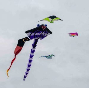 Stuart-Turner-Kites-3